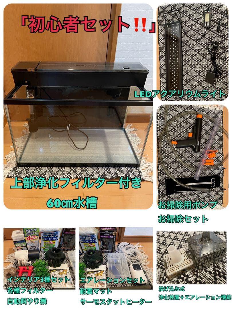 「初心者にぜひオススメ！」GEX デュアルクリーン600 60cm水槽セット