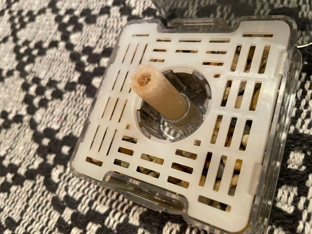 「初心者にぜひオススメ！」GEX デュアルクリーン600 60cm水槽セット