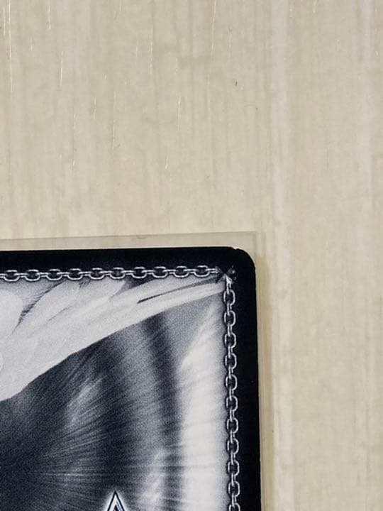 花園たえ　PR SSP プロモ　サイン　希少　硬質ケース発送