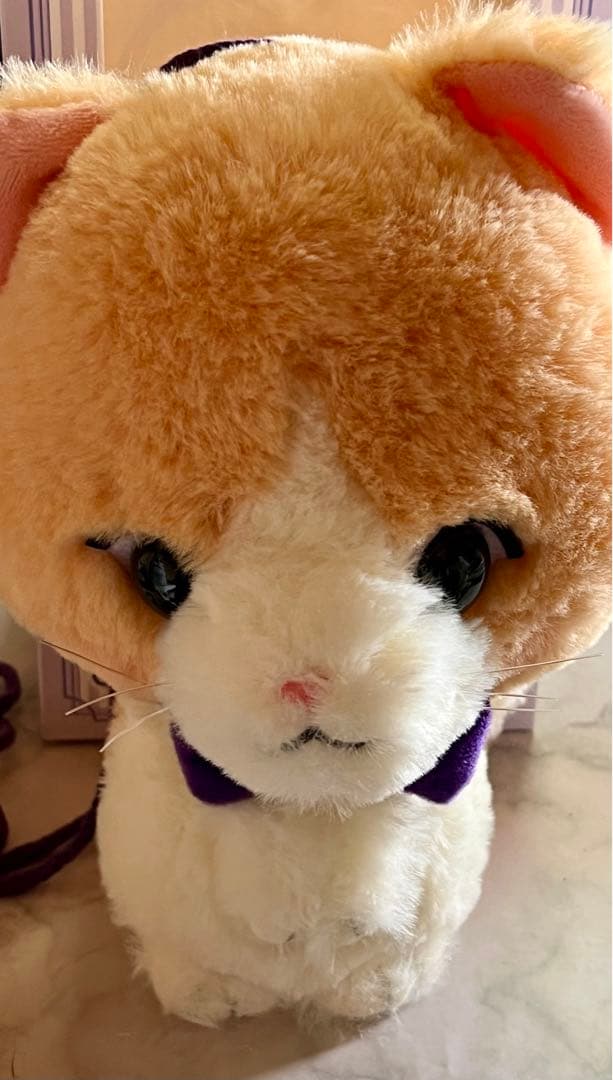 藤原樹 セット売り