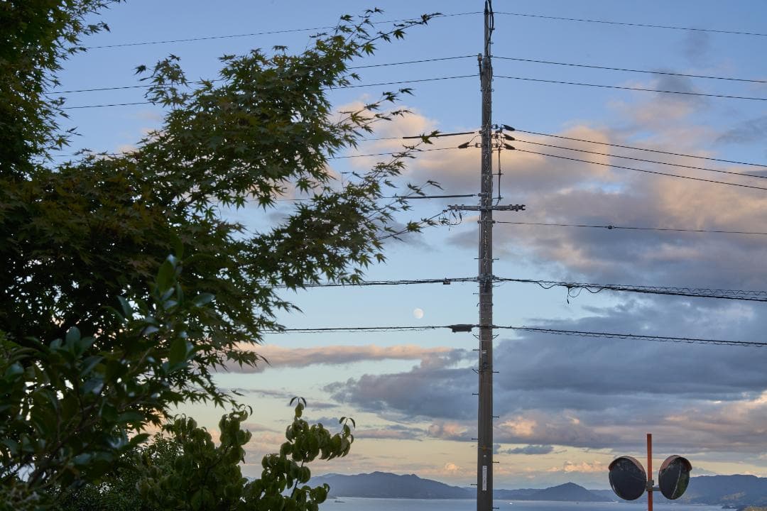 フィルムカメラ LEICA SUMMICRON-R 50mm F2 3CAM