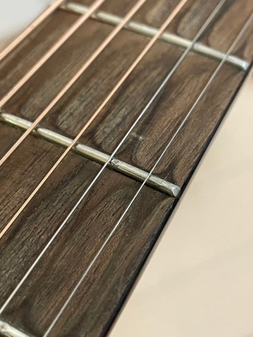 Recording King RD-A9M オール単板 ドレッドノート