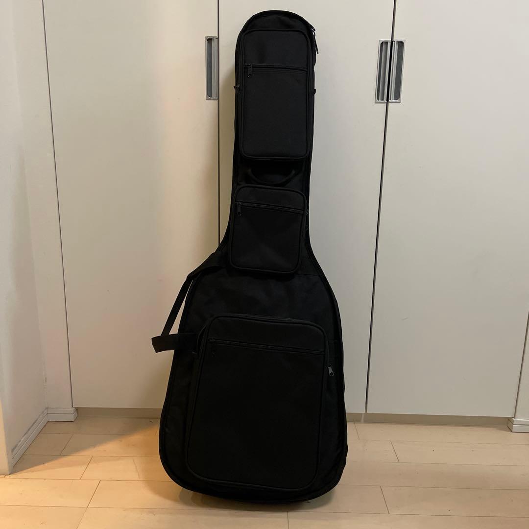 Recording King RD-A9M オール単板 ドレッドノート