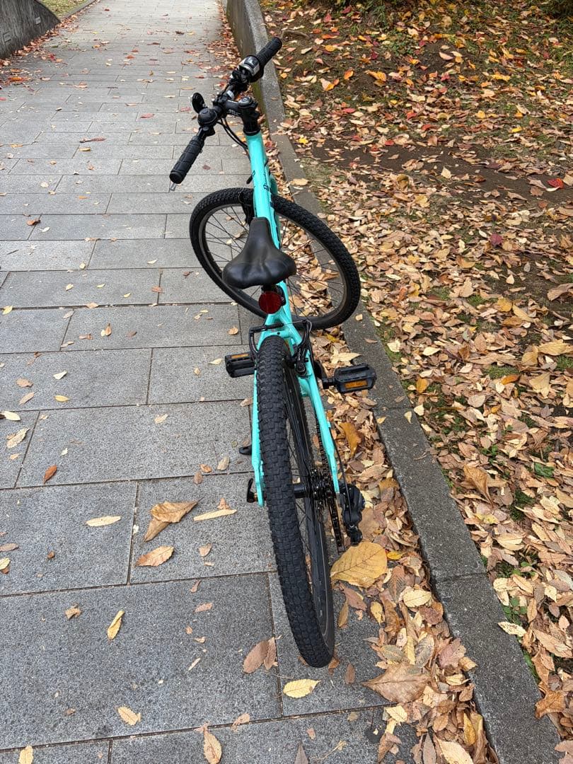 Bianchi Pirata 24インチ 点検済み 直接引き渡し