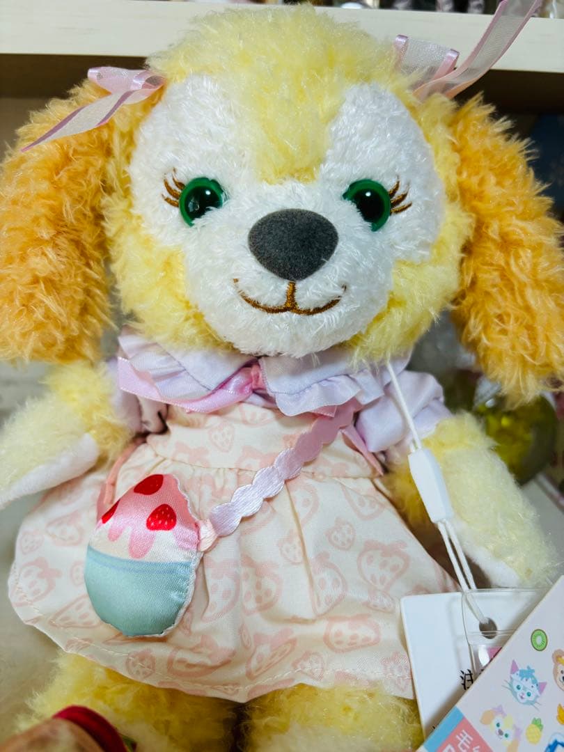 レア‼️クッキーアンぬいぐるみSSサイズ❣️写真の子✨新品タグ付き