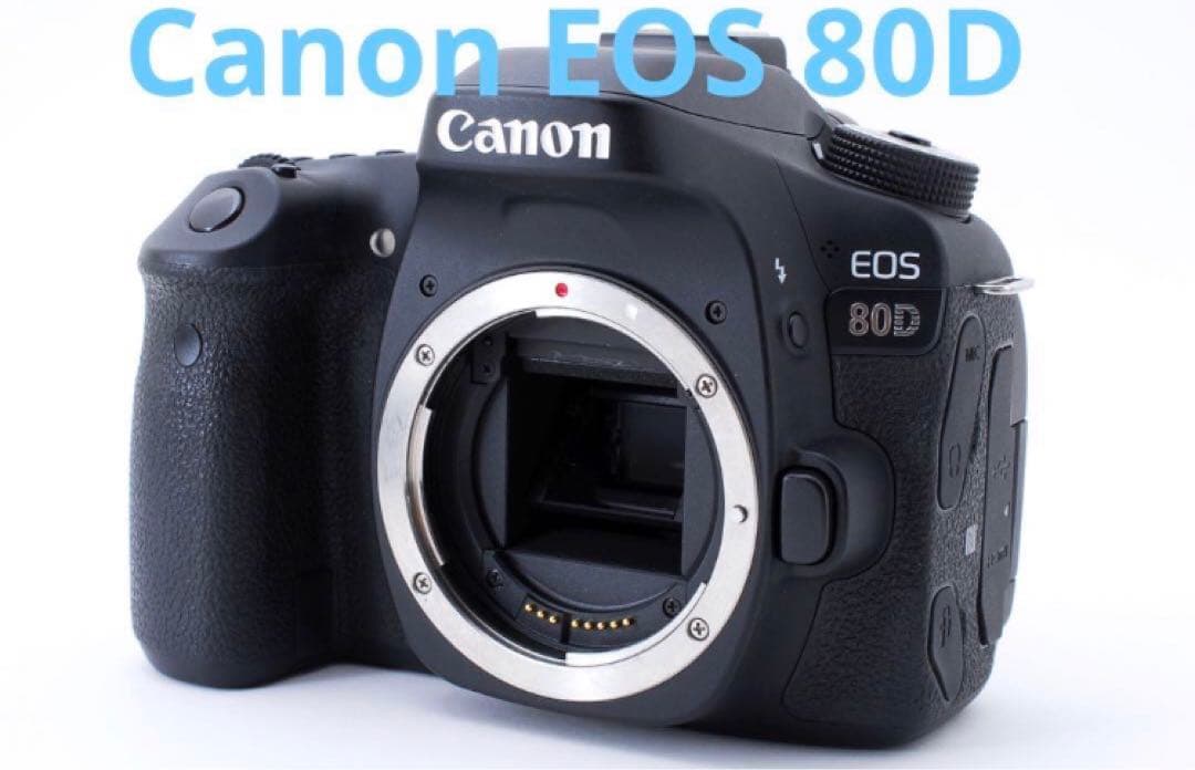 Wi-Fi/動画/保証/キャノン/Canon EOS 80D ボディ