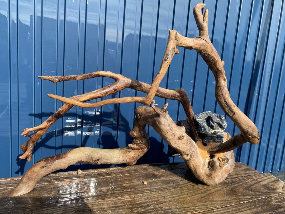 流木レイアウト A861