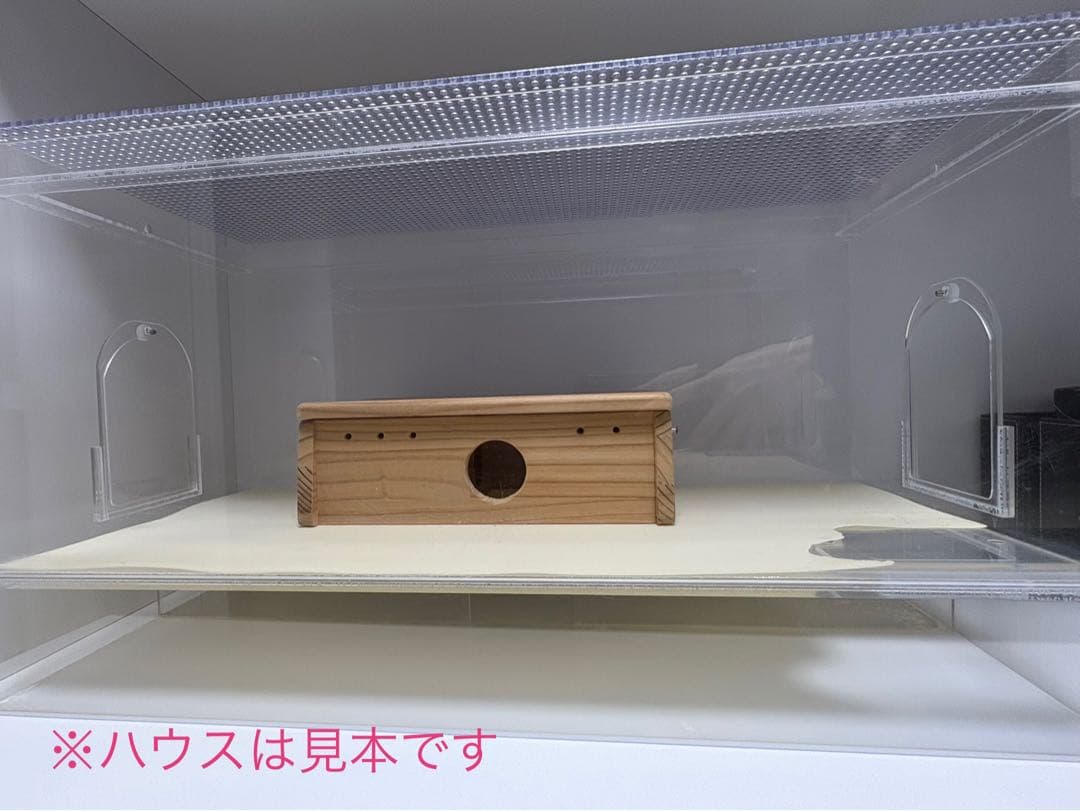 アクリルケージ　ゴールデンハムスター60
