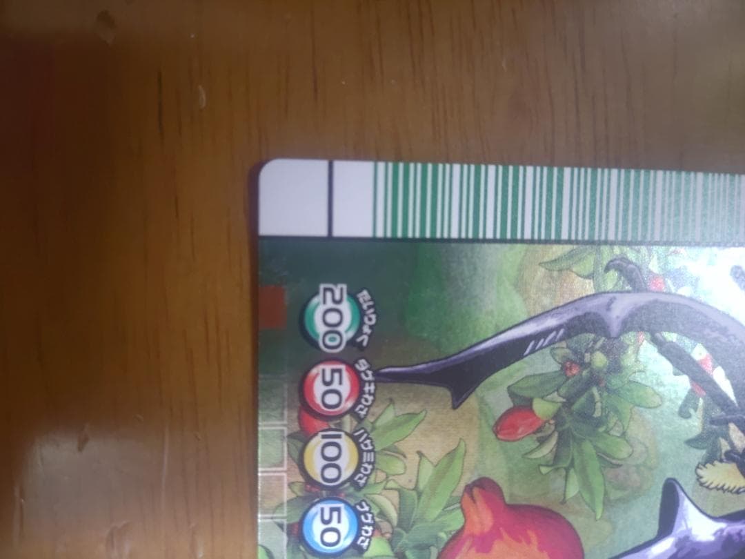 ムシキング　マンディブラリスフタマタクワガタ　五周年