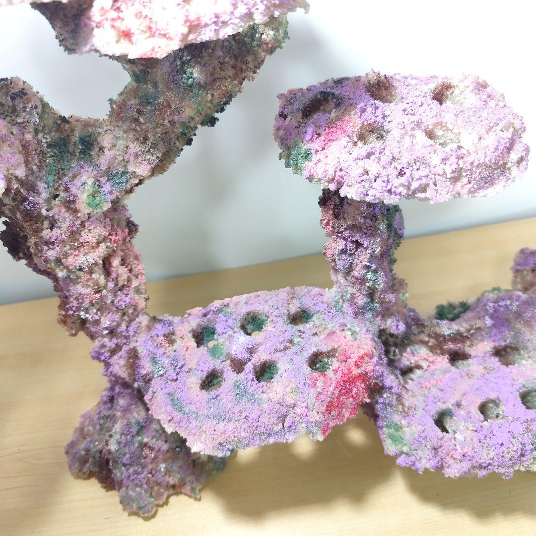 プラグ穴付き アク抜き不要人工ライブロック 海水水槽 レプリカ コーラルフラグ9