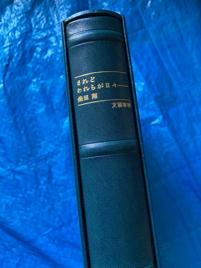 されどわれらが日々ー 柴田翔