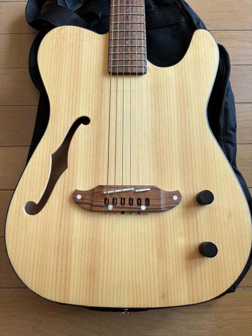 【中古品】SCHECTER（シェクター）エレアコ OL-FL-P