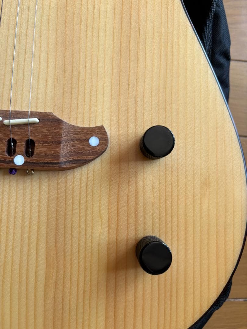 【中古品】SCHECTER（シェクター）エレアコ OL-FL-P