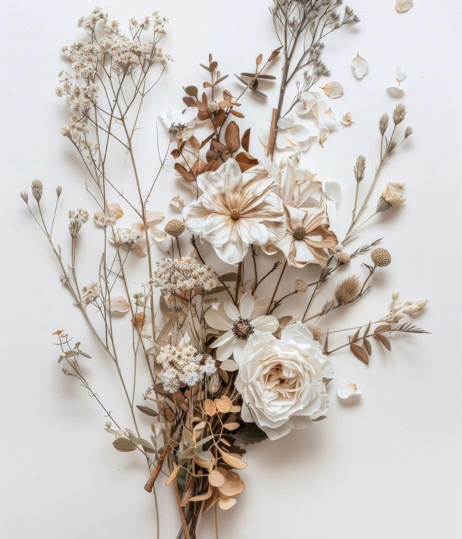 na　１２月２３日以降発送