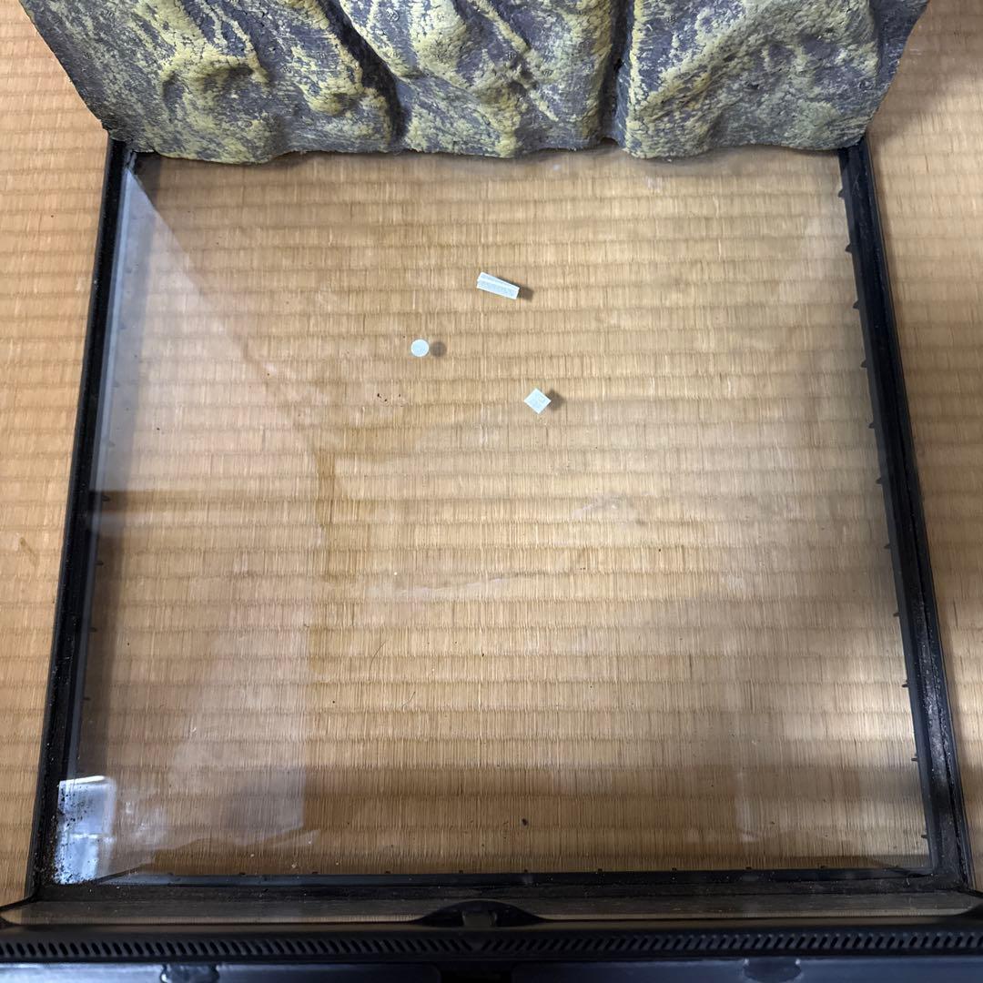 グラステラリウム4560