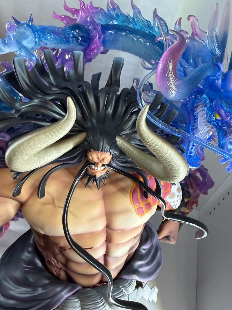 最安値　pop maximum カイドウ