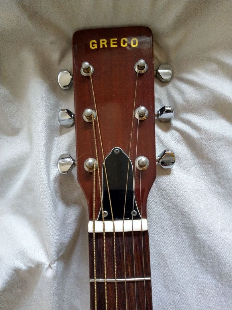 Greco アコースティックギター MODEL100