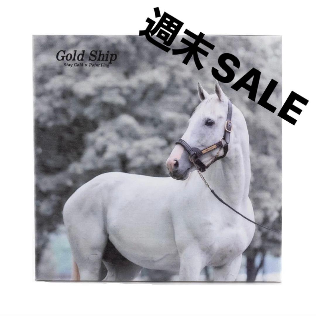 週末SALE♡限定完売品♡ゴールドシップ　名馬キャンバスボード　冬ver. 競馬