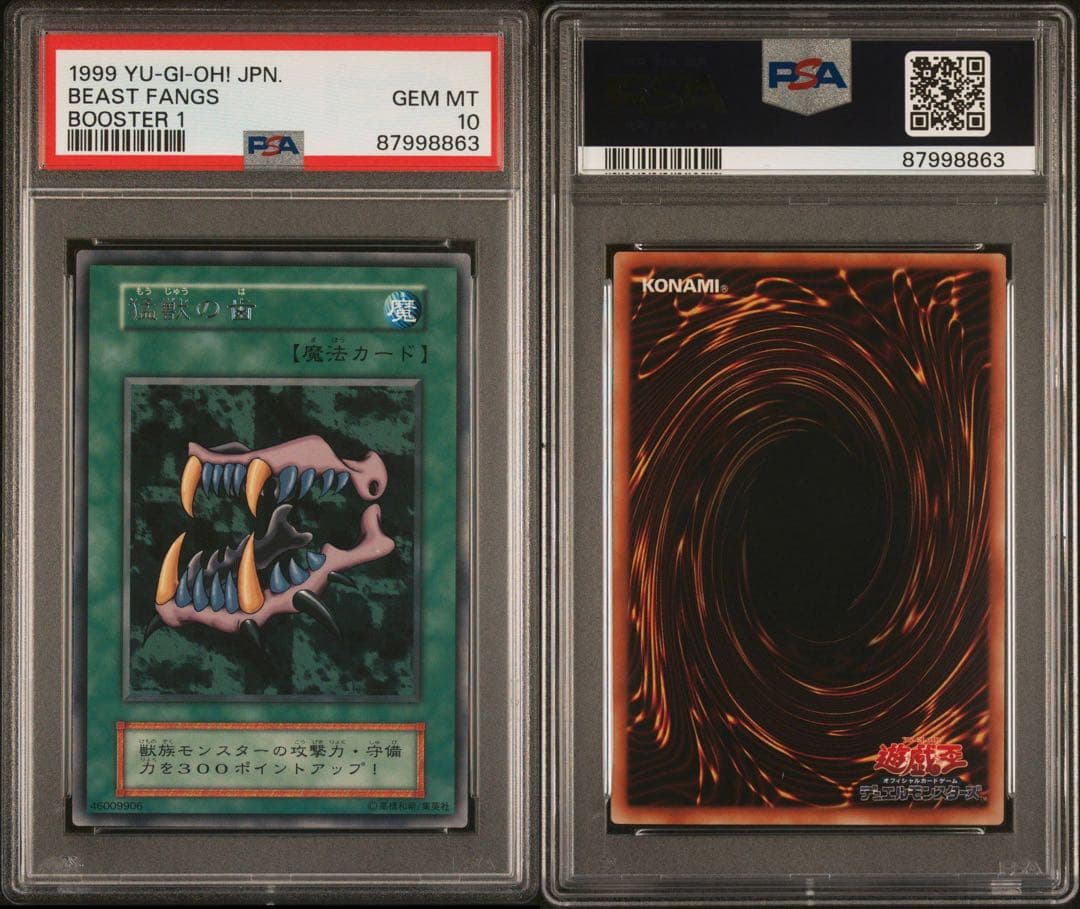 【世界に2枚】遊戯王　猛獣の歯　初期　ブースター1   PSA10