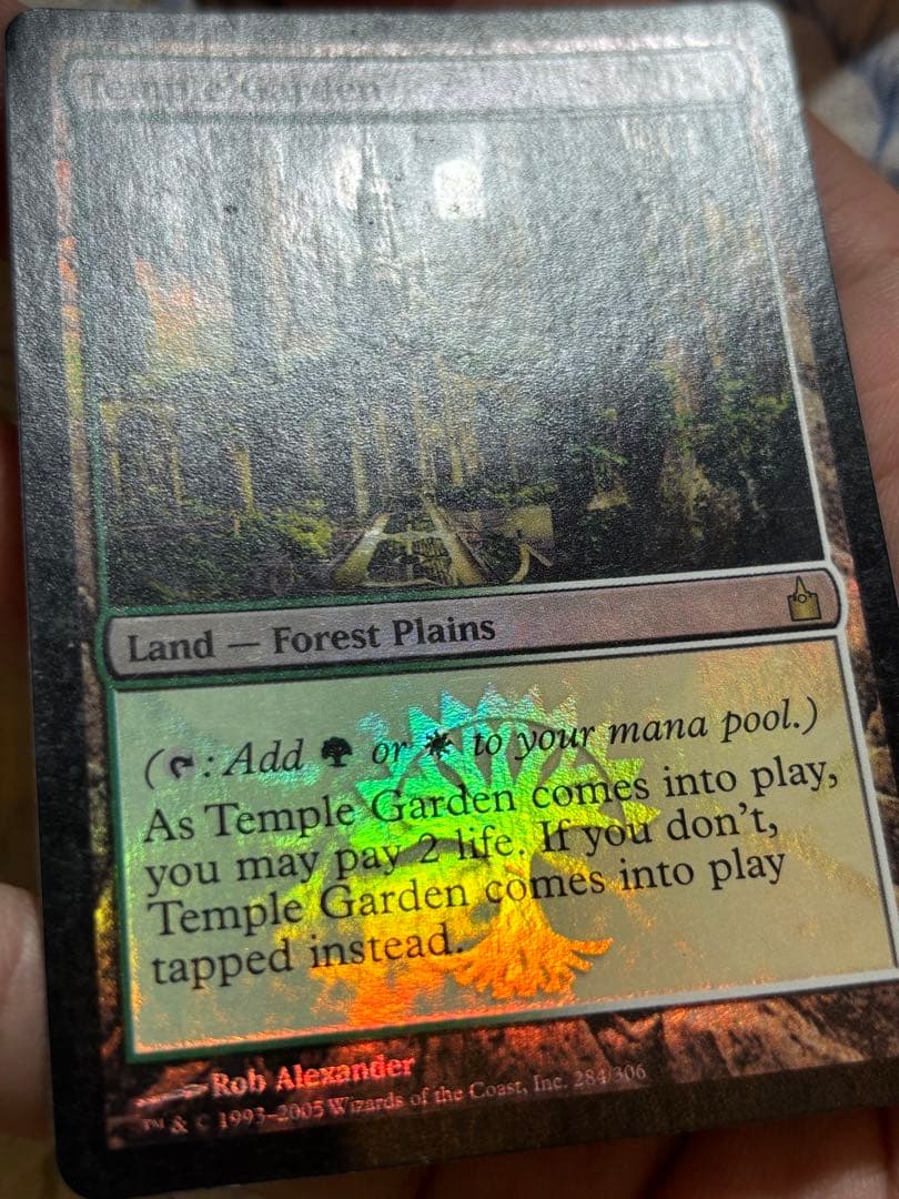 mtg RAV 寺院の庭　英語 初版 FOILラヴニカ