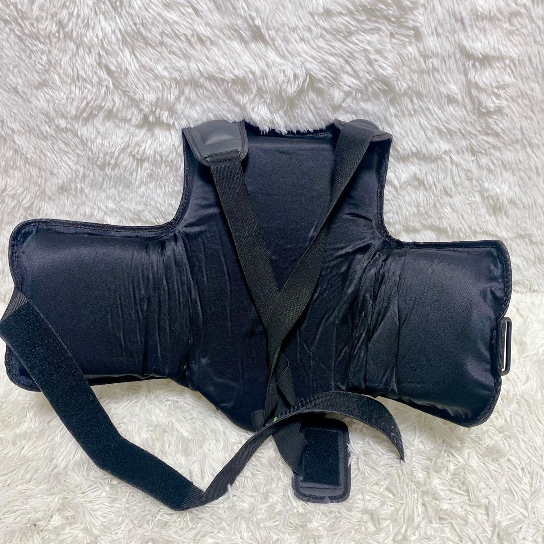 【セット売り】 TITLE ROAR ボクシング ボディー プロテクター