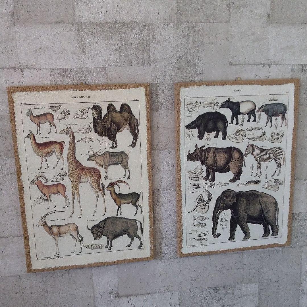 動物　絵画　アート