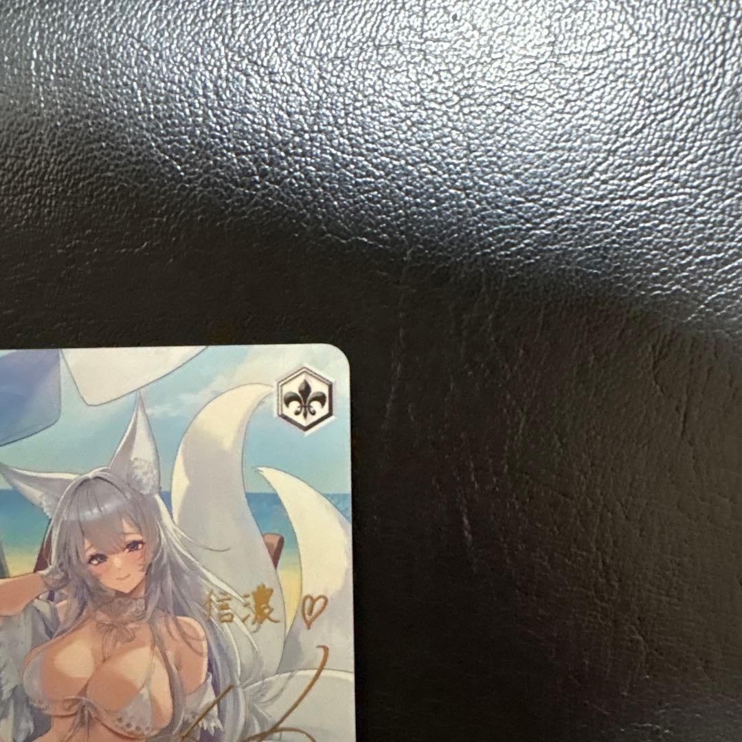 WS 航空母艦 信濃 sp