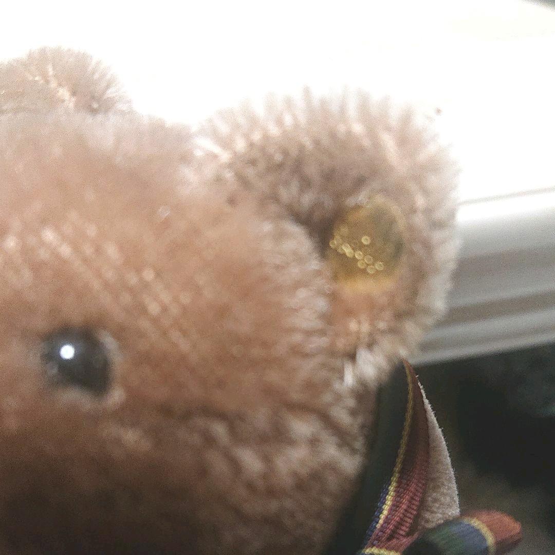 シュタイフベアオンホイールズベア