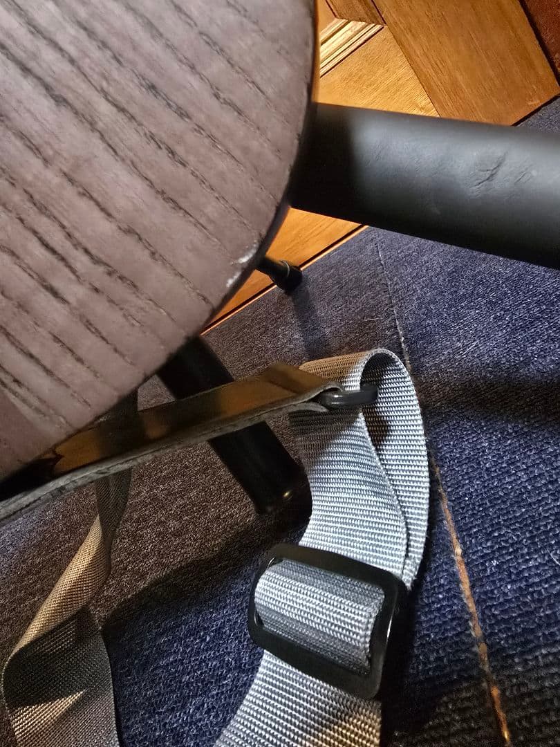 Bacchus テレキャスター YTM-500R