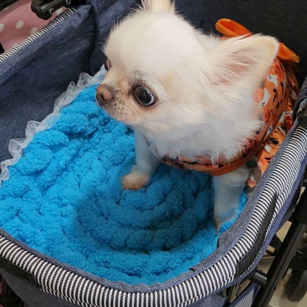 ペットカートマット　レース付　オーダー承ります