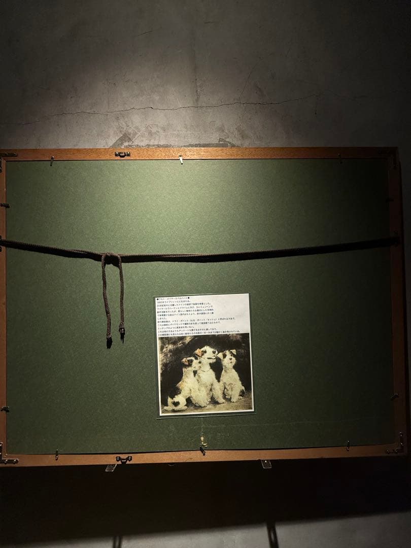 他の方発送× Meyer-Eberhardt