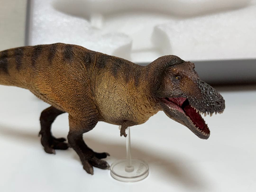 PNSO 恐竜　ティラノサウルス　1/35サイズ