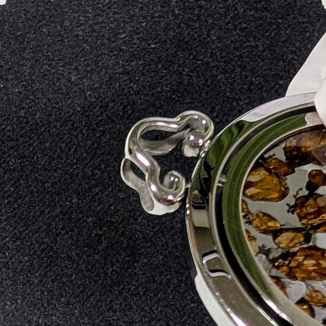 石鉄隕石（セリコ パラサイト）ペンダント トップ【鑑別書付】