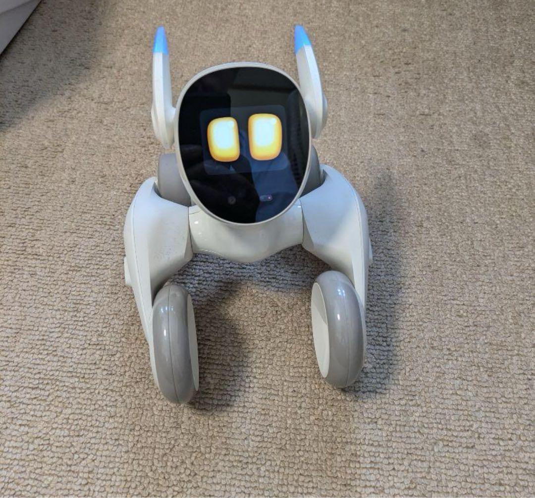 ペットロボットloona