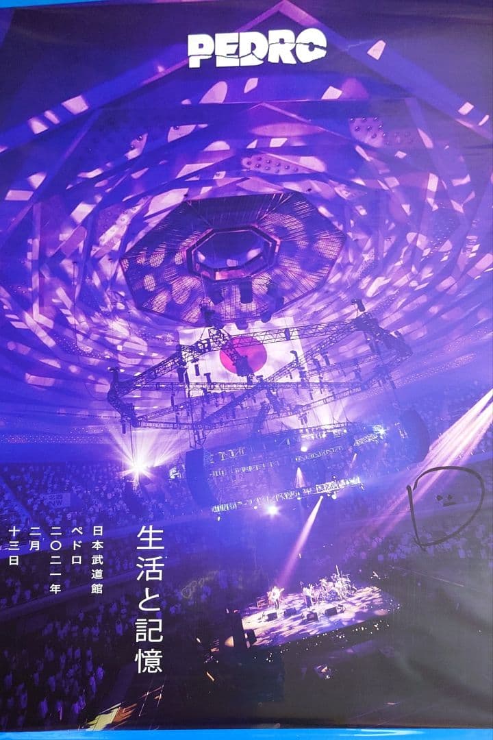 送込【BiSH/PEDRO/ExWHYZポスター17枚】 直筆サインB2ファイル