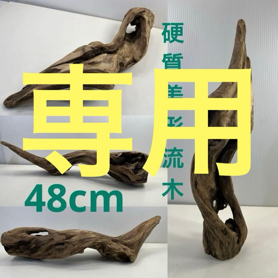 k50アク抜き済み流木 爬虫類シェルター レイアウト用 登り木 インテリア