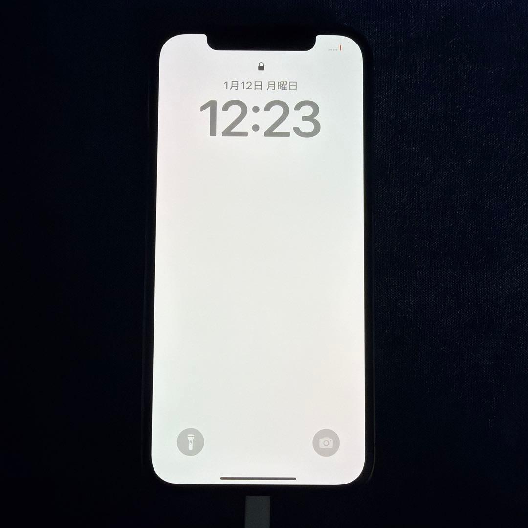 Apple iPhone 12 Pro 512GB グラファイト