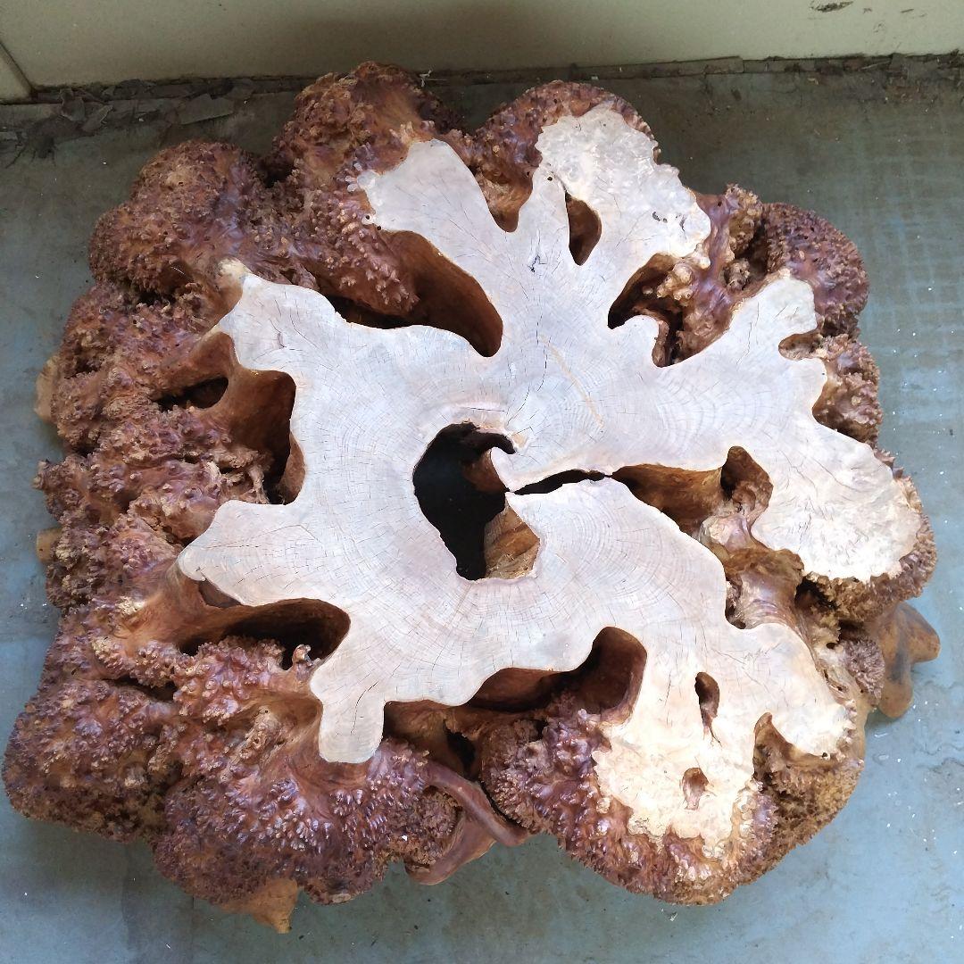 瘤のオブジェ・木製・無垢・天然木・切り株・飛騨産