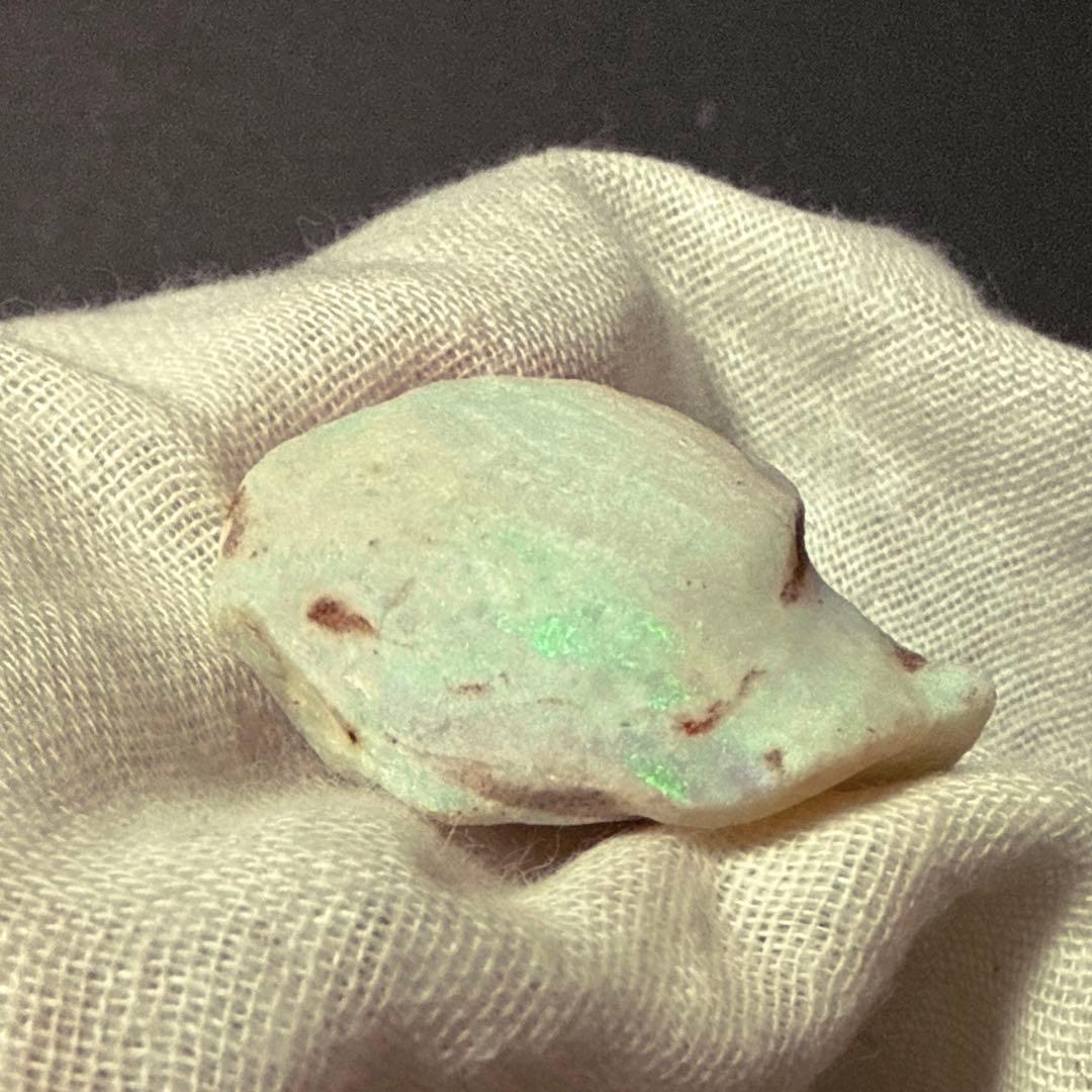 シェルオパール 貝オパール オパール化貝化石 オパライズドシェル