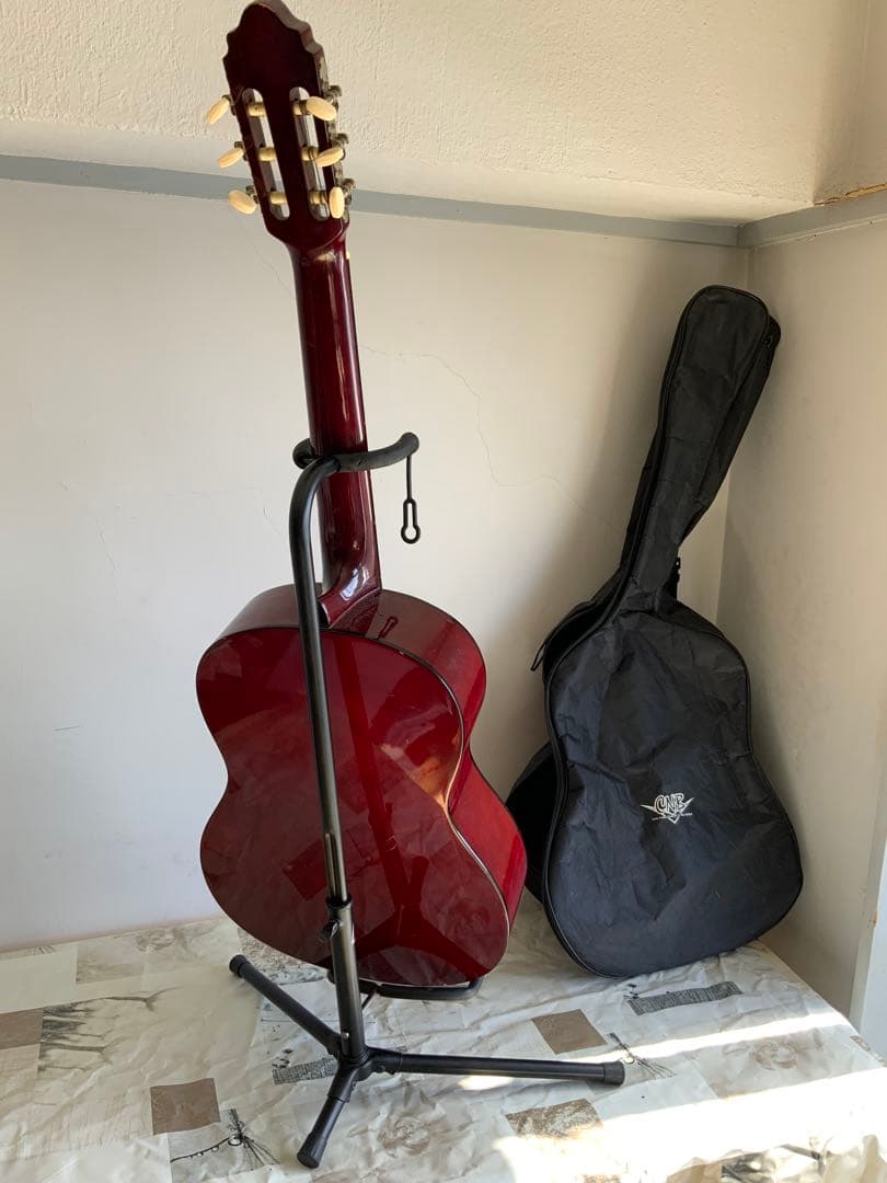 Valencia アコースティックギター オレンジ