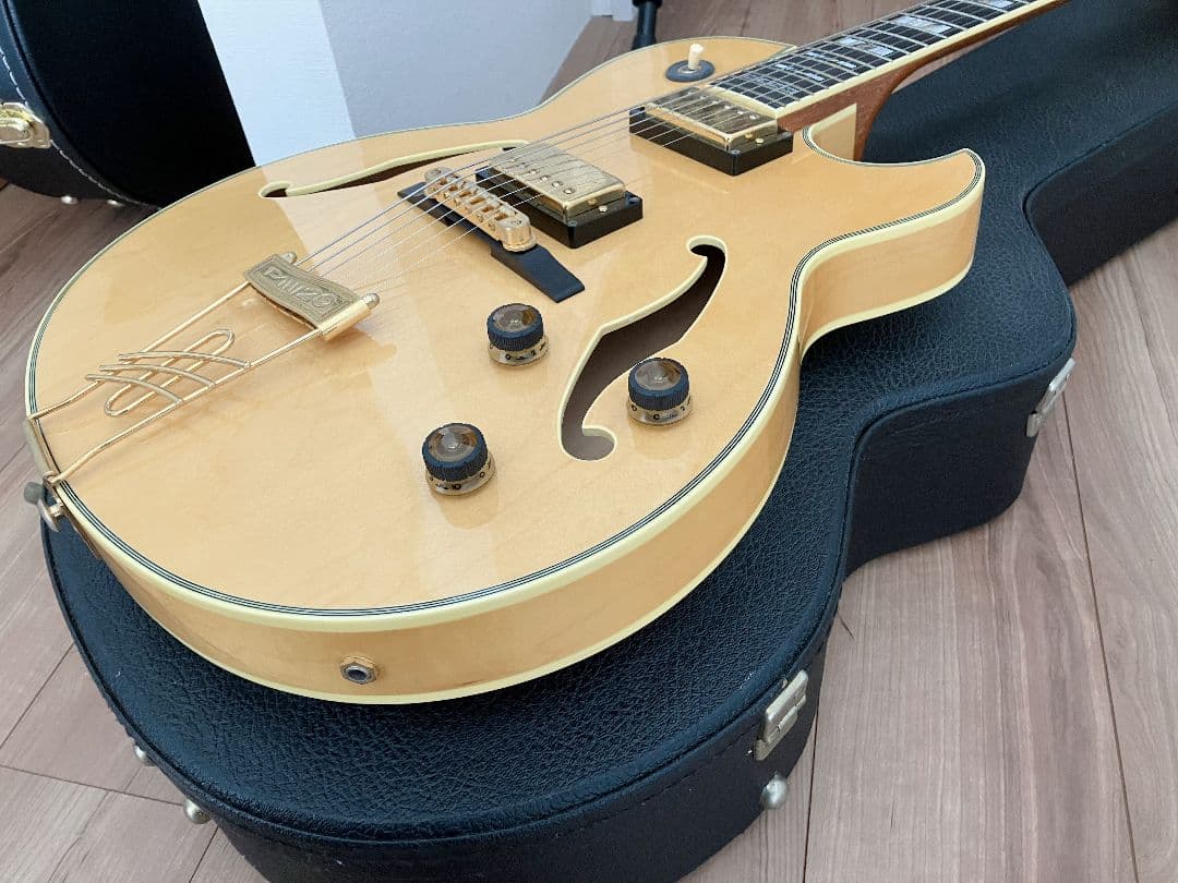 Ibanez PM120 Pat Metheny Signature フルアコ