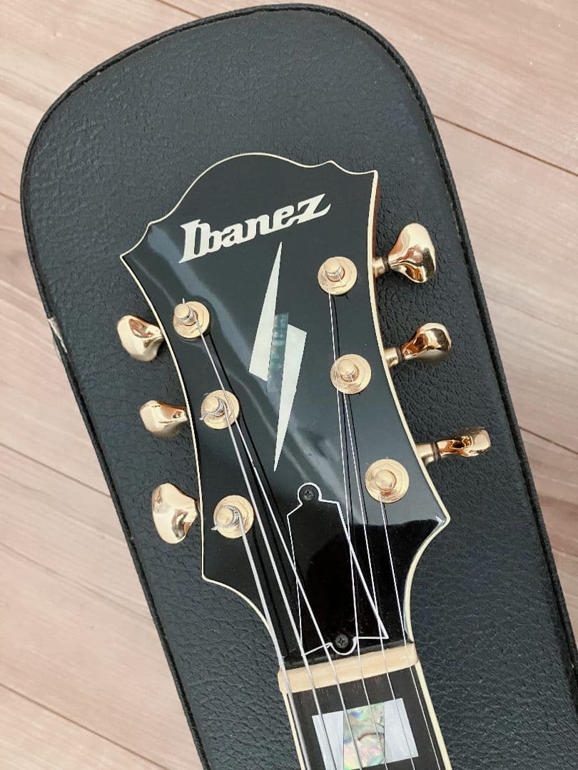 Ibanez PM120 Pat Metheny Signature フルアコ