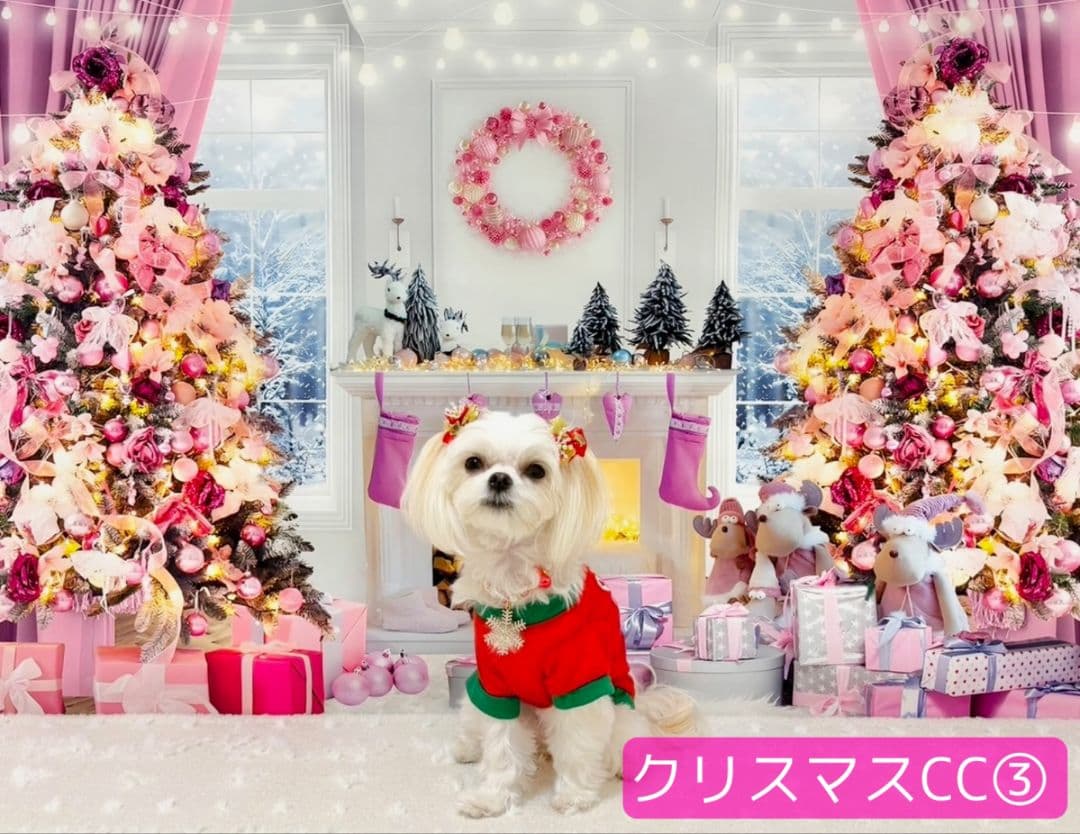 業務用トリミングチョーカー+背景布　クリスマスツリー　ペットサロン　雪　犬