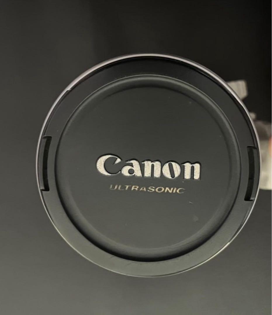 レンズ(ズーム) Canon EF 35-350mm f/3.5-5.6L USM