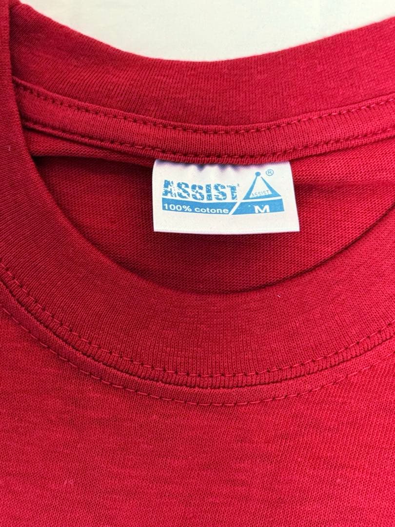 ミハエル•シューマッハ　フェラーリ引退記念Tシャツ グラッチェシューミー　M新品