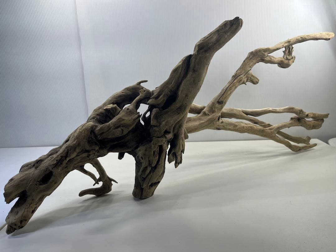 V24特大流木 アク抜き済み流木 爬虫類シェルター 登り木 インテリア 生け花