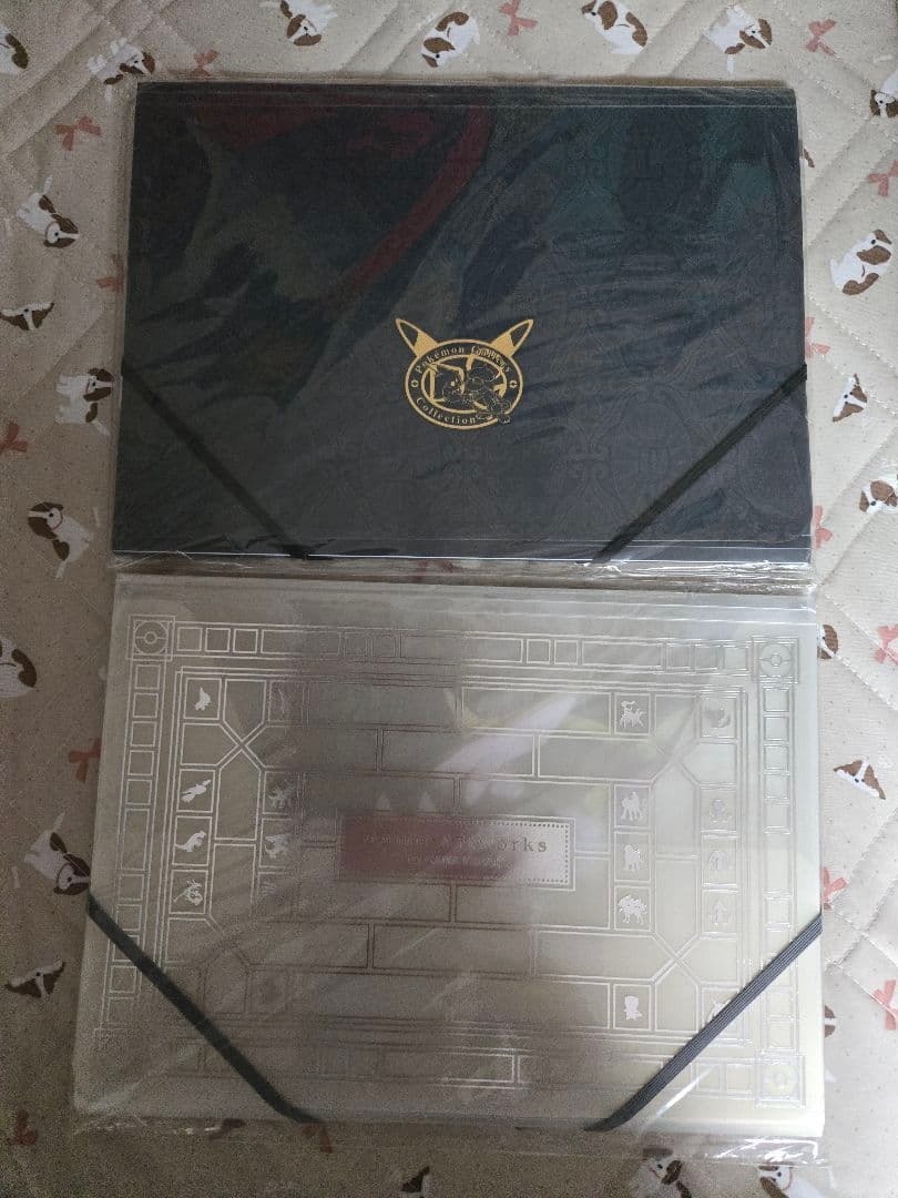 ポケモンクリアファイルセット