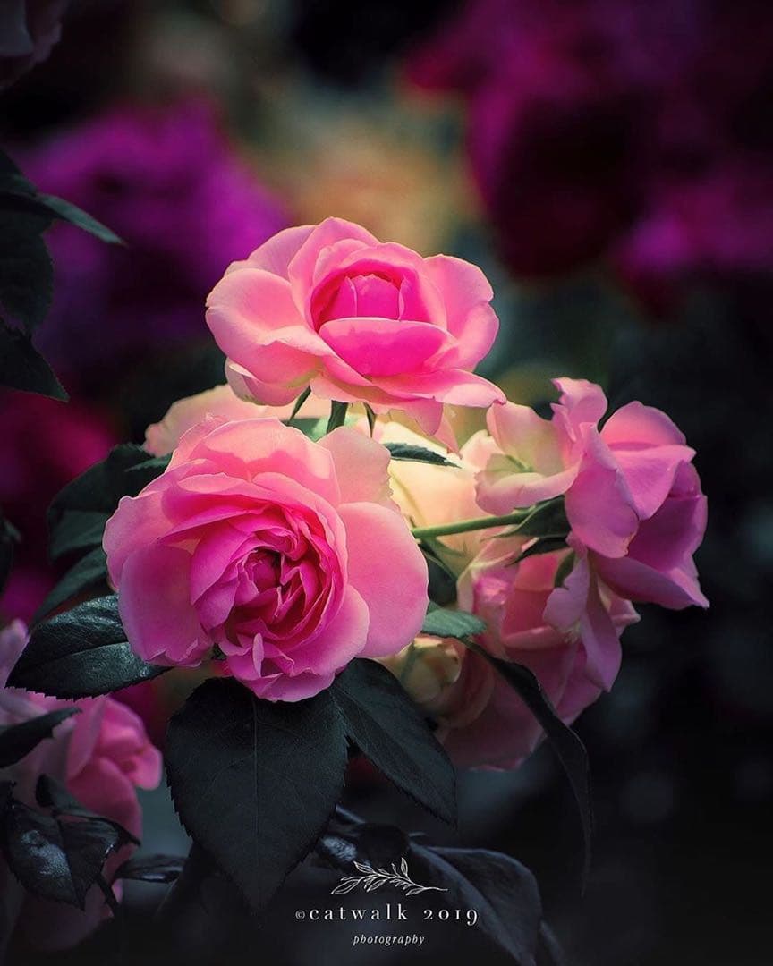 ひなひな様ご確認用