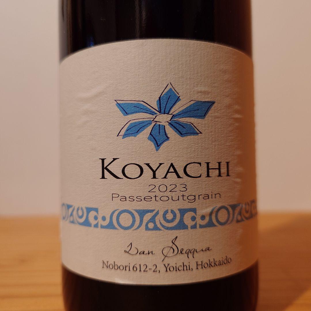Koyachi Passetoutgrain 2023 セツナウタ2023