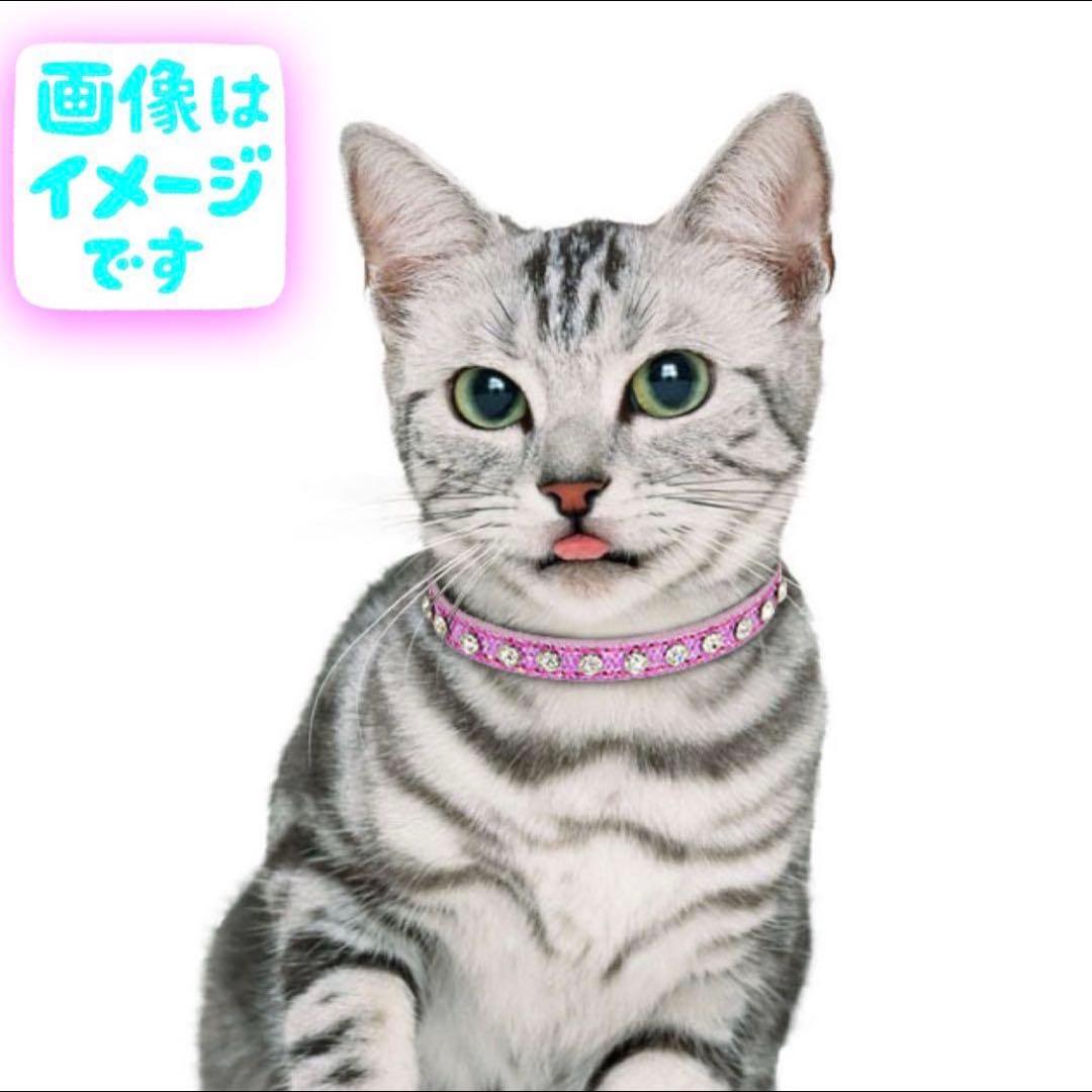 猫 小型犬 パピー 首輪 キラキラ ラメ ストーン オシャレ 首輪 シルバー S